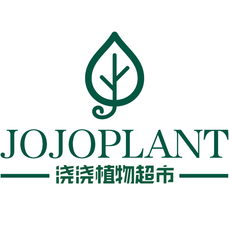 0831抽奖彩叶芋