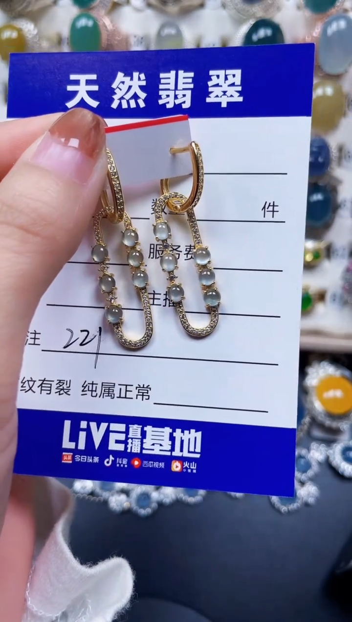 银S925镶嵌翡翠耳饰221