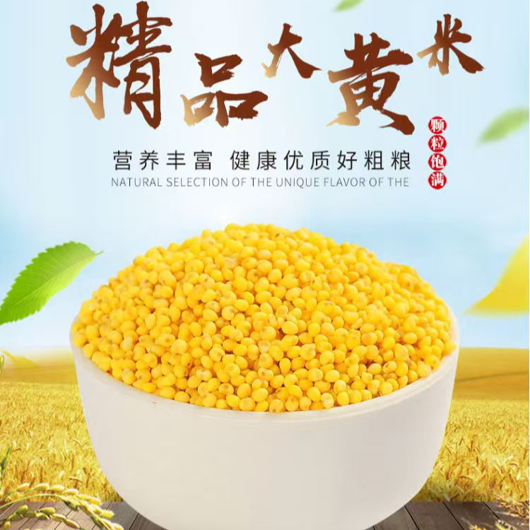 大黄米 农家自种 24年新米 大黄米粥 食用粗粮 五谷杂粮