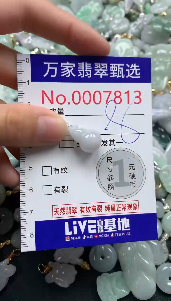 吊坠(不含链)未镶嵌翡翠7813