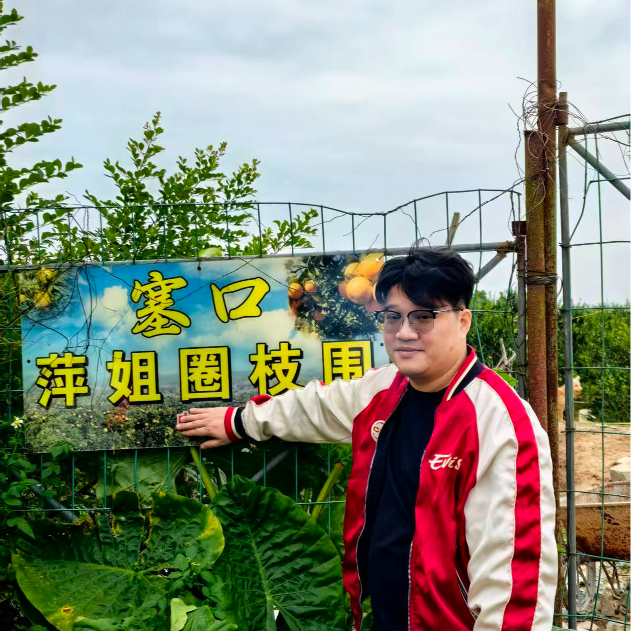 2025年  塞口围 圈Y