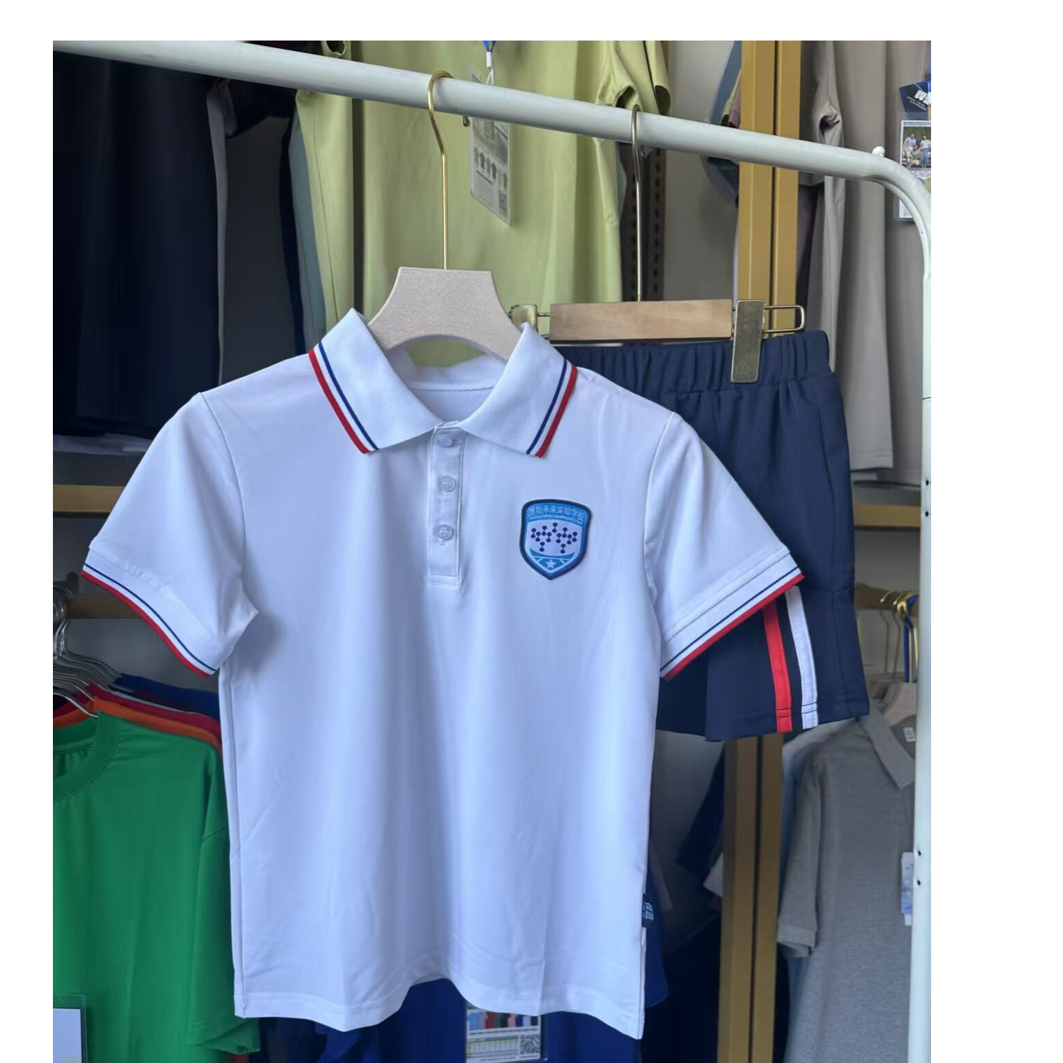 潍坊市未来实验学校校服夏季速干polo裤子裙子