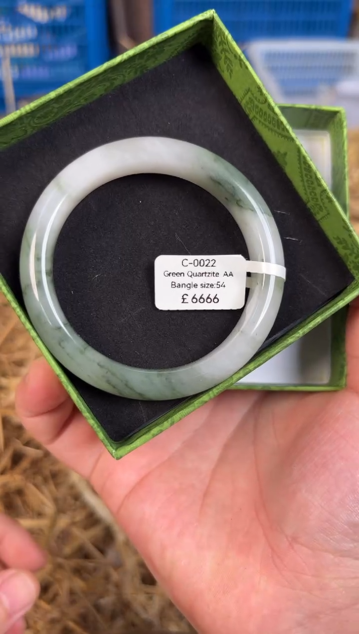 未镶嵌手镯石英质玉编码C-0022