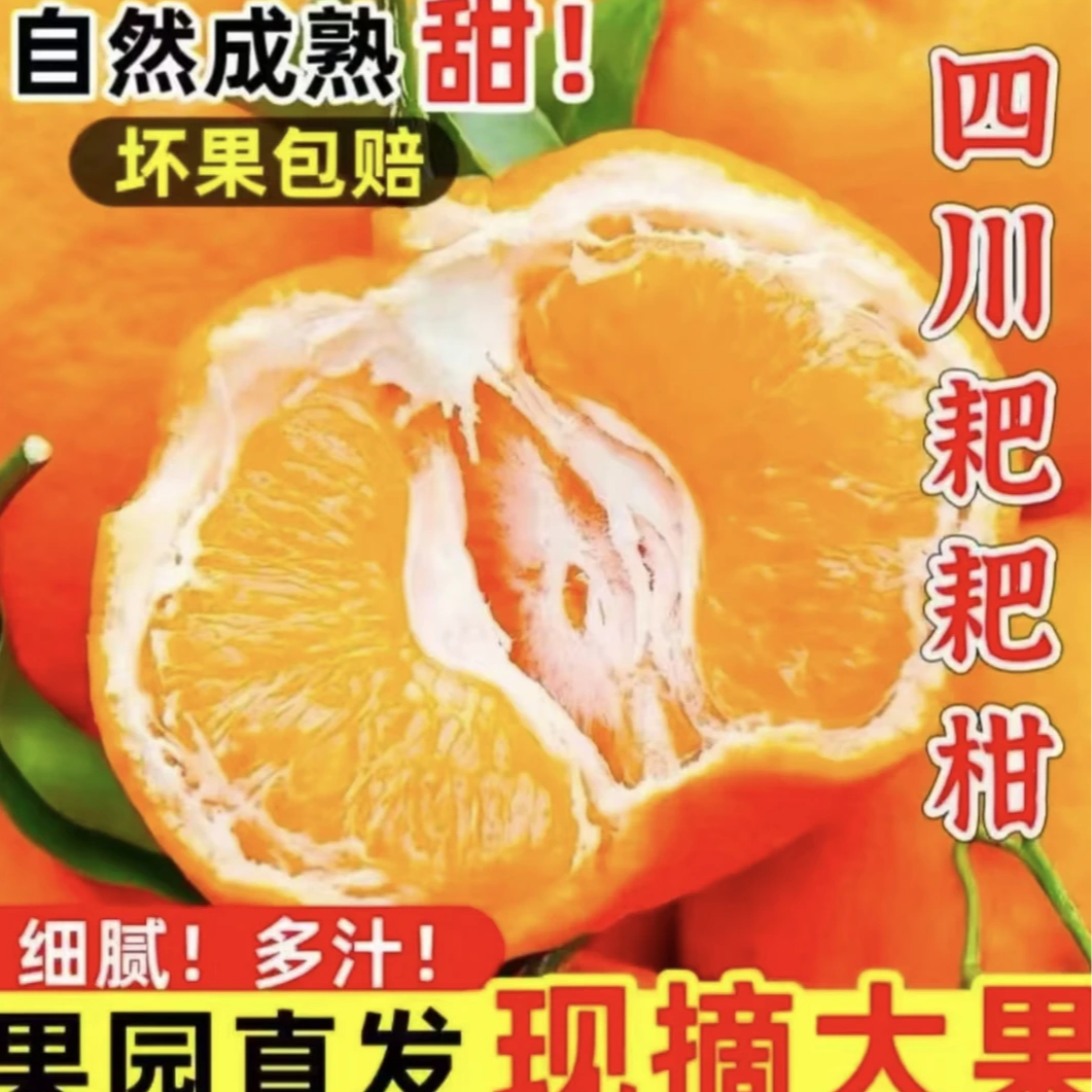 正宗四川眉山耙耙柑当季新鲜水果橘子应当季孕妇水果产地直发