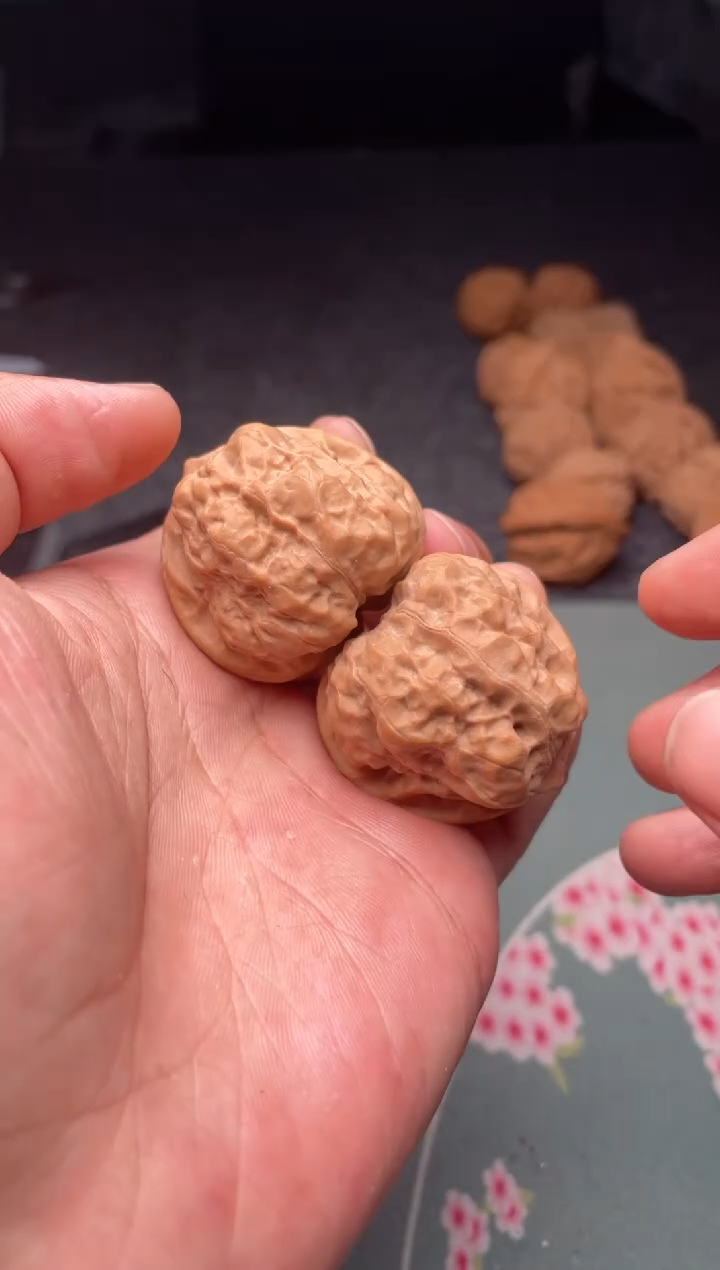 把件文玩核桃a305  蛤蟆头 37尺