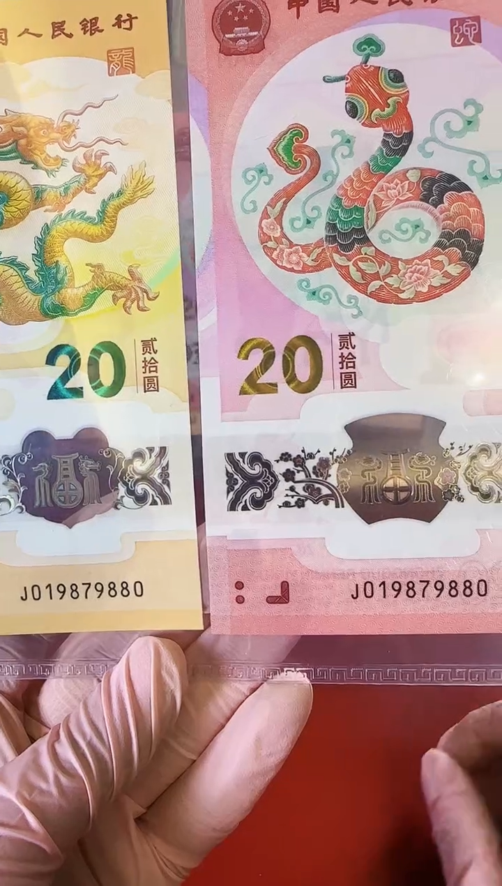 【闪购商品】塑料2025蛇钞全同号啊啊啊啊啊啊啊啊