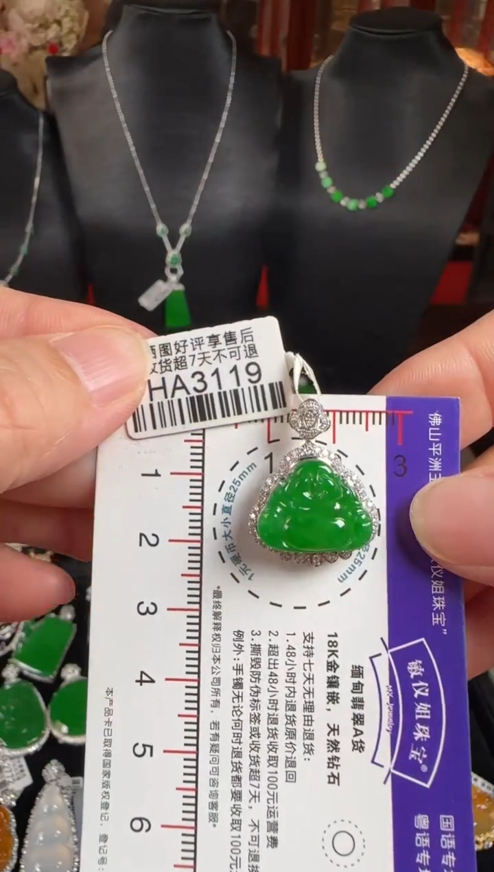 颈饰未镶嵌翡翠HA3119佛公