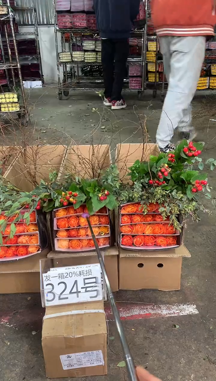 324号♥中通含20%耗损发一箱鲜花