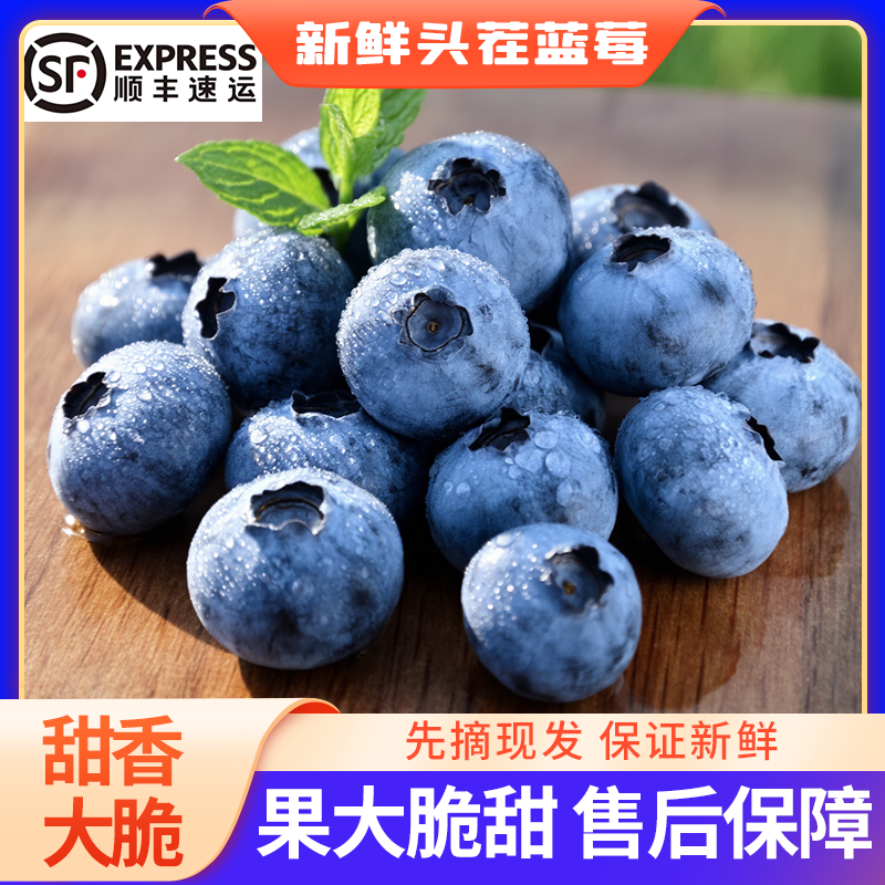 【顺丰包邮】丹东蓝莓 孕妇孩子水果 脆甜新鲜 现摘现发 花青素W-CP