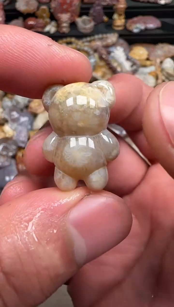硅化珊瑚（珊瑚玉）未镶嵌颈饰169