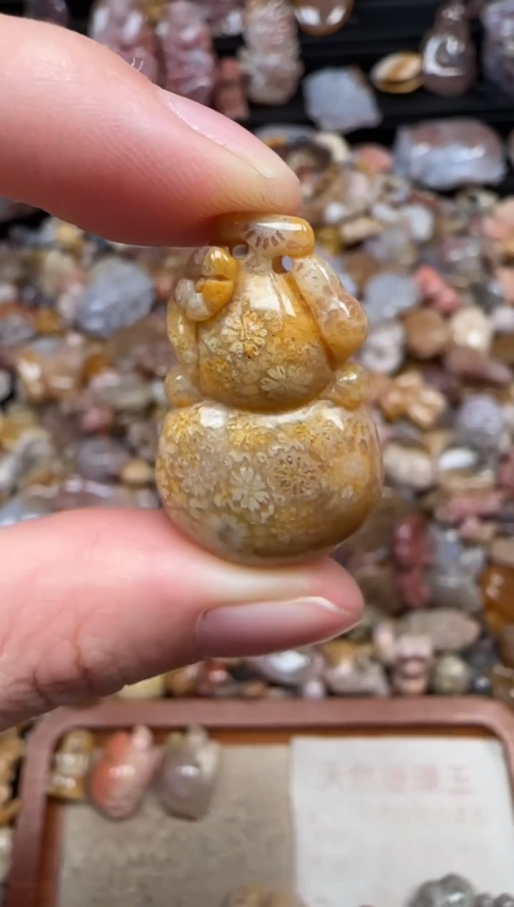 颈饰未镶嵌硅化珊瑚（珊瑚玉）711