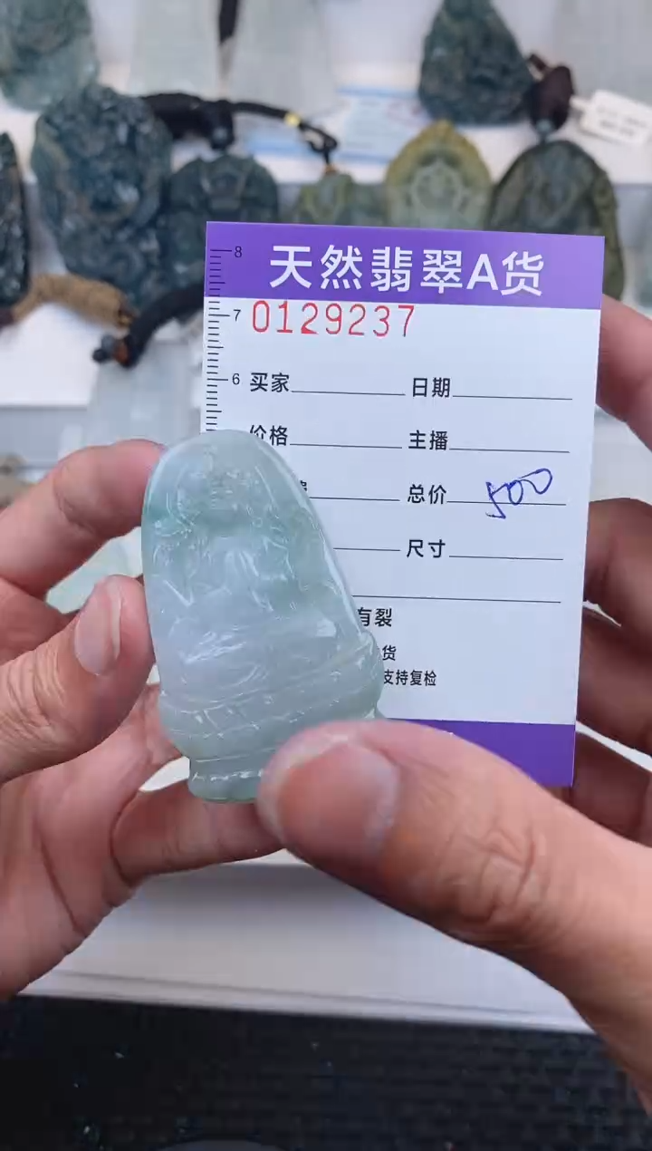 【闪购商品】翡翠颈饰未镶嵌        237