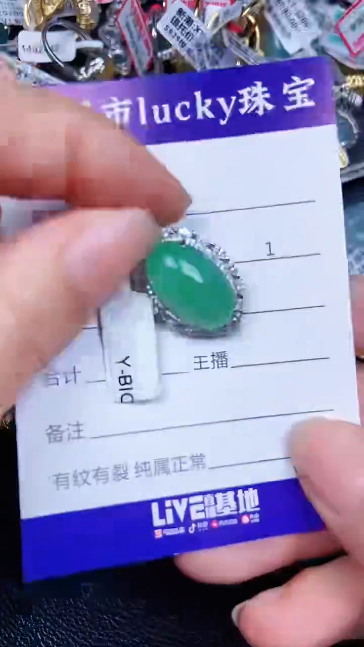 颈饰银S925镶嵌翡翠266