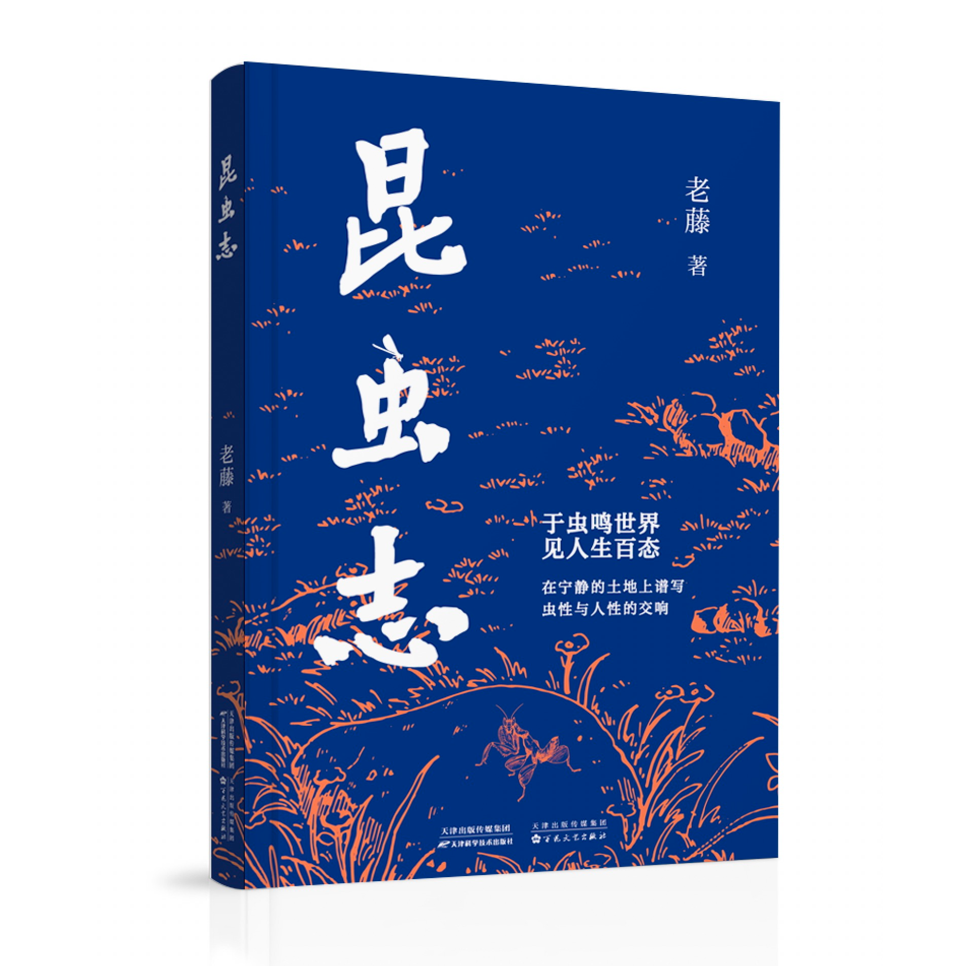 《昆虫志》 于虫鸣世界，见人生百态