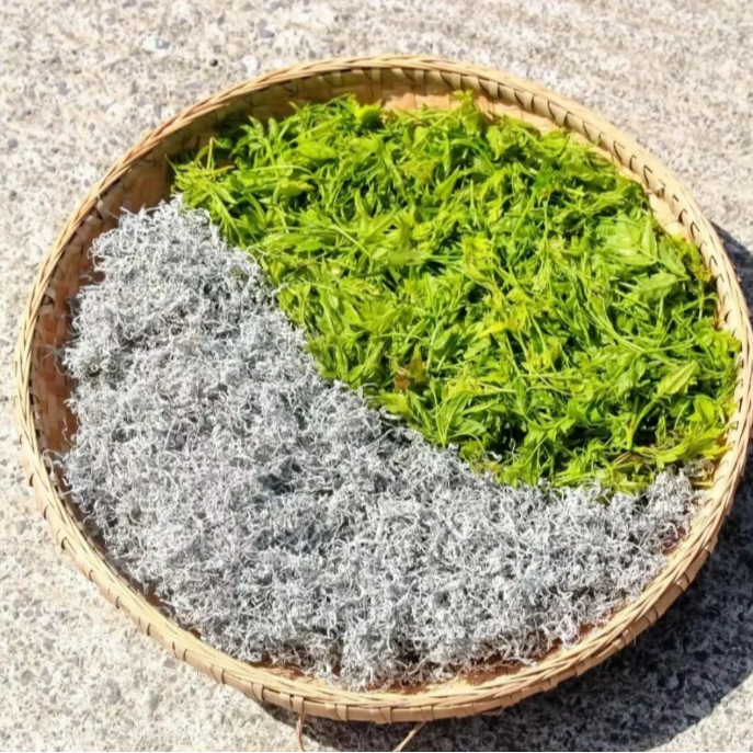 世界硒都 恩施藤茶 富硒高黄酮 100g/袋