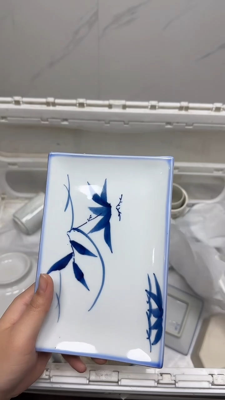 【闪购商品】232回流瓷器默认微瑕，18.8包邮