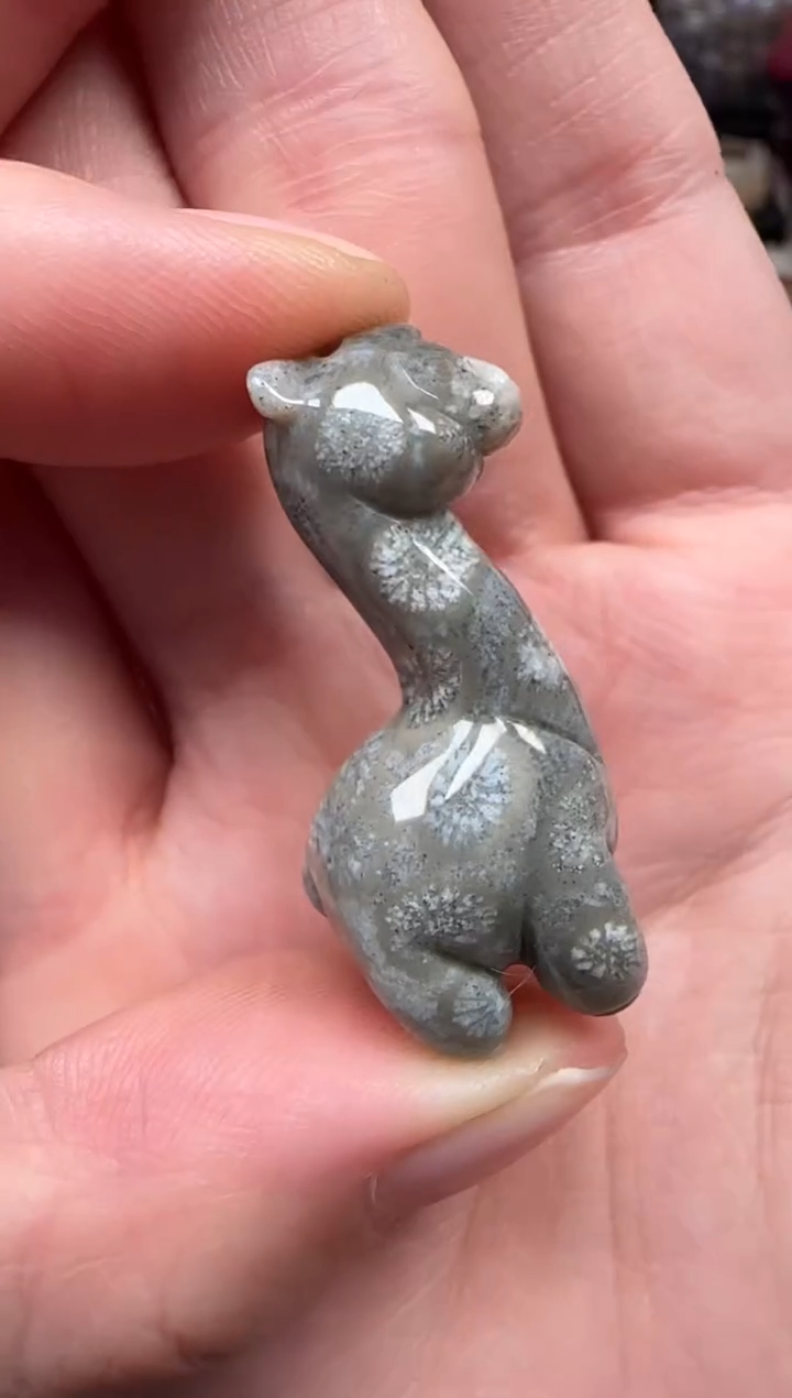 颈饰未镶嵌硅化珊瑚（珊瑚玉）650