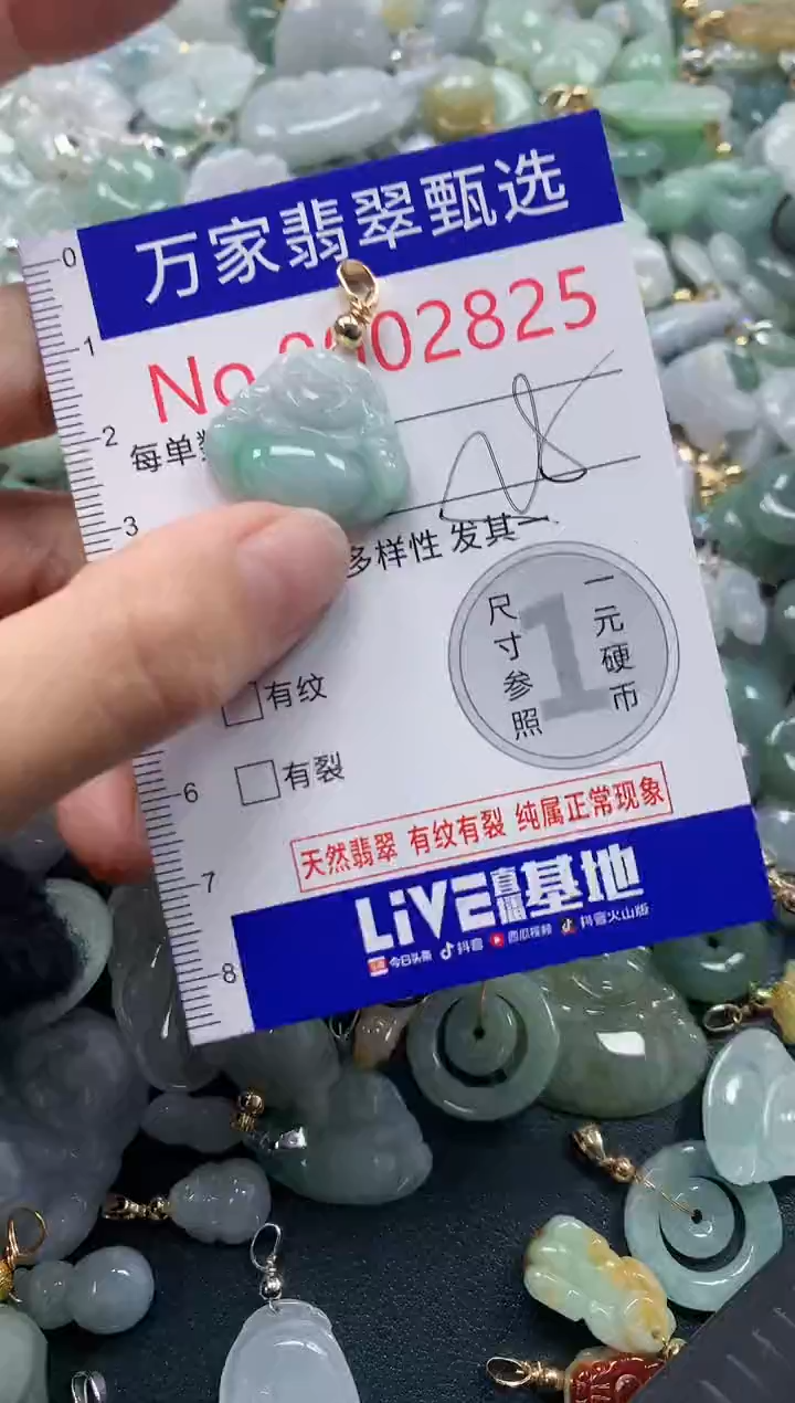 吊坠(不含链)未镶嵌翡翠2825