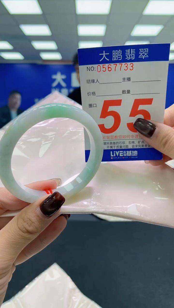 未镶嵌手镯翡翠AAAAAAAAAA