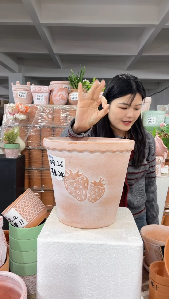 【闪购商品】红陶复古草莓26-24三个装