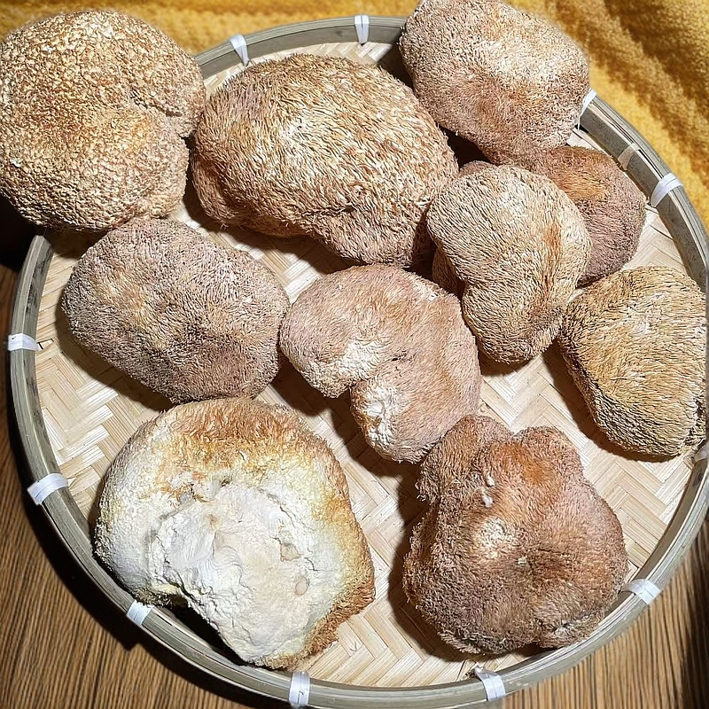 云南土特产下山猴头菇