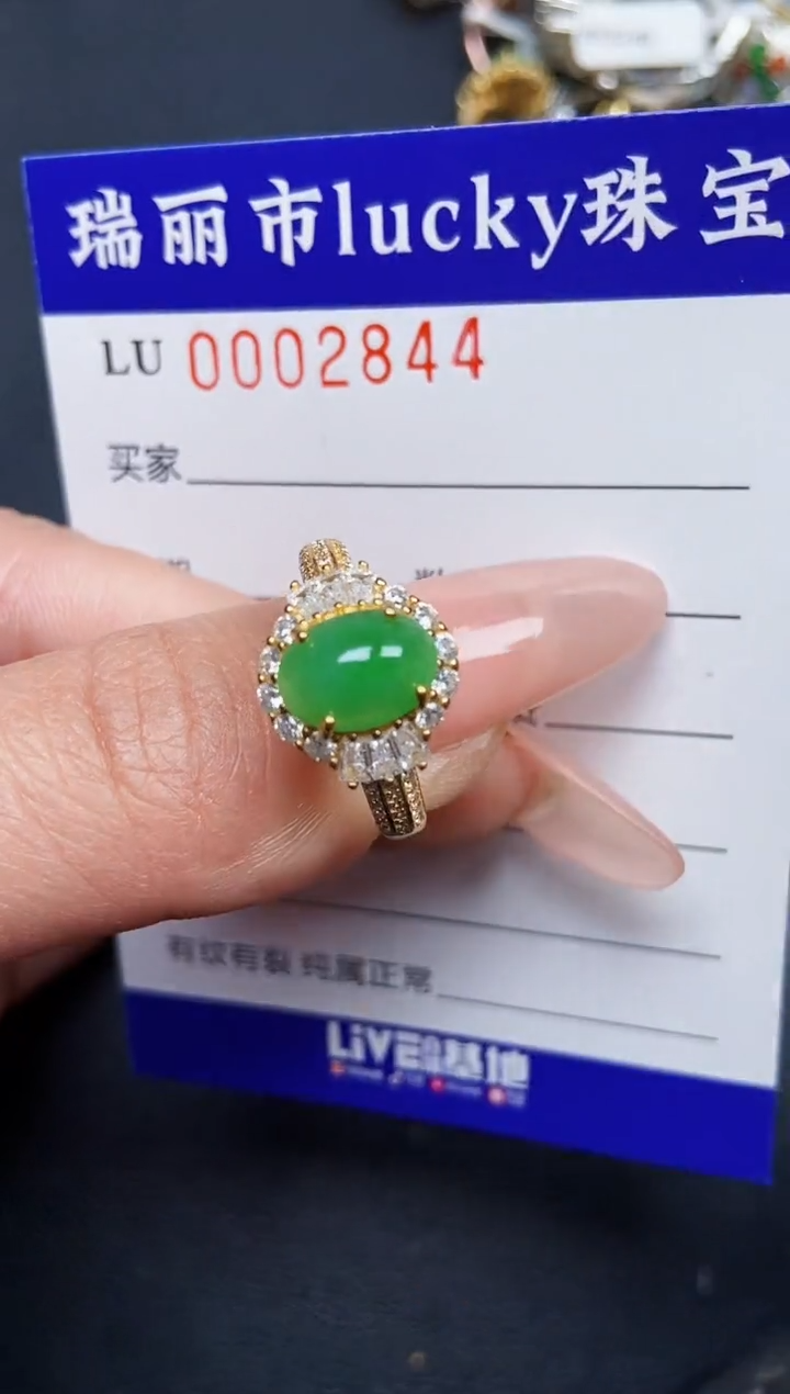 【闪购商品】翡翠颈饰银S925镶嵌2844