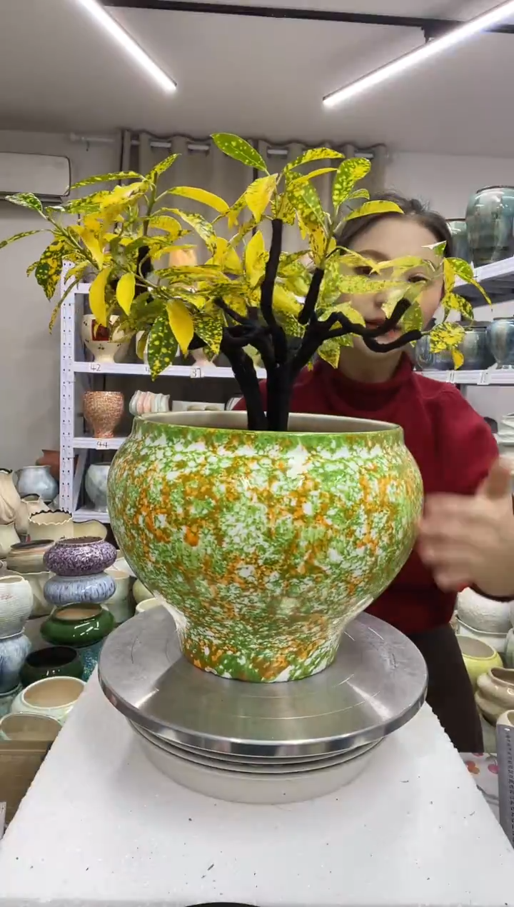 【1.3】花盆尺寸高： 22口：22