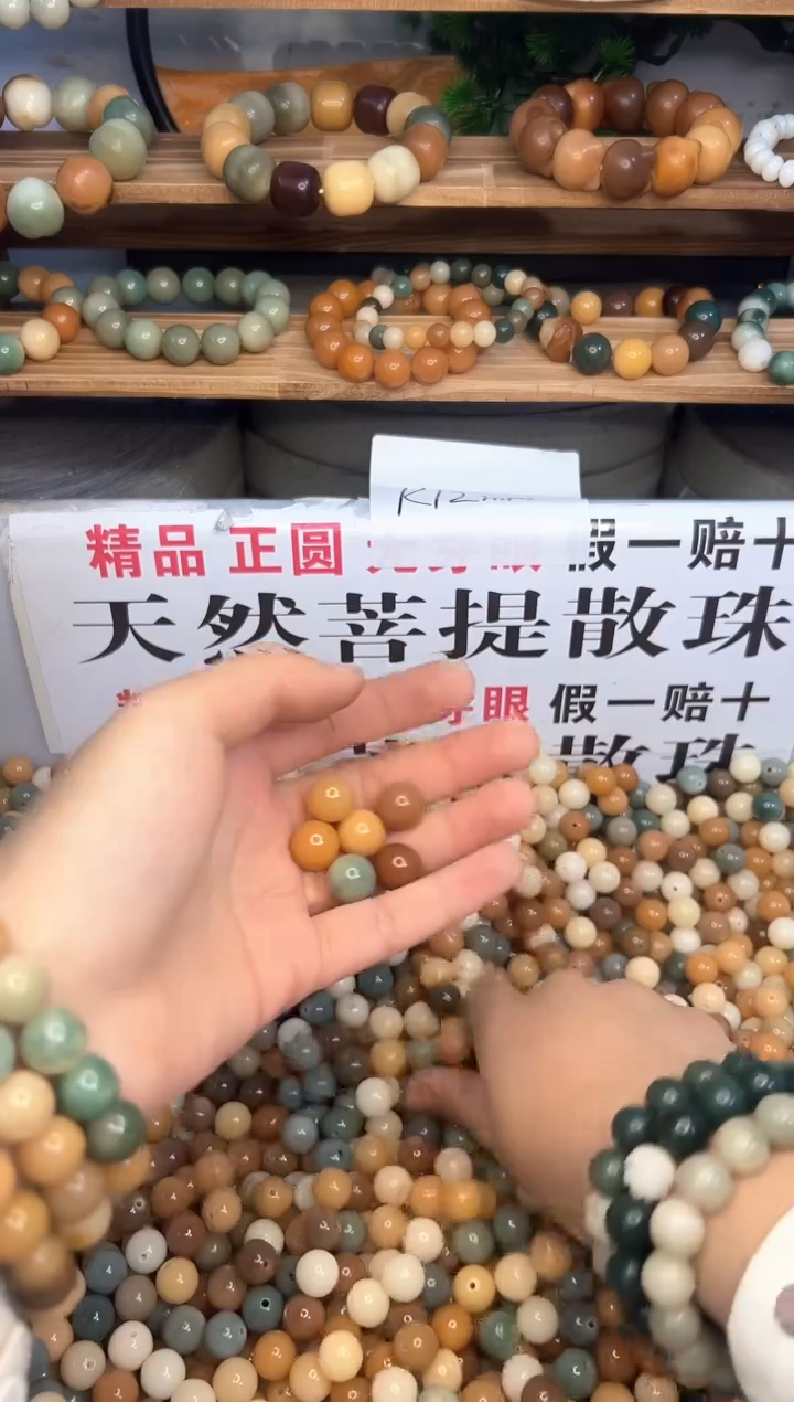 吊坠菩提根/象牙果12多宝菩提散珠