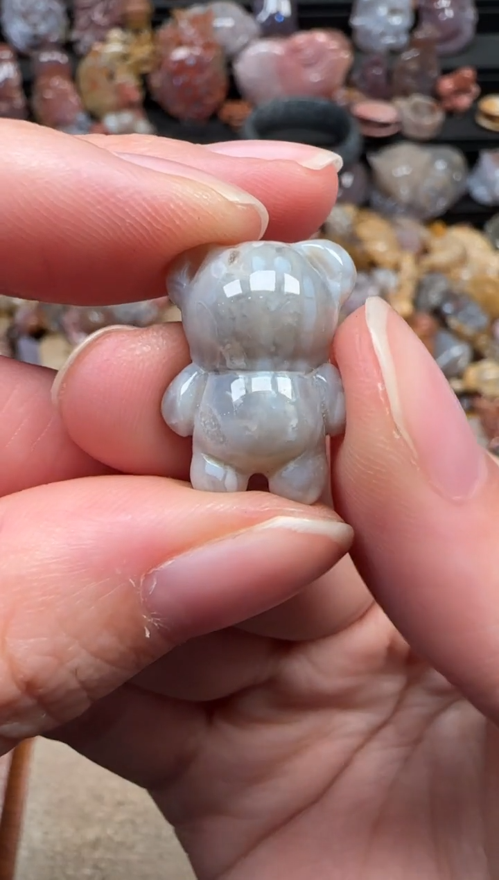 颈饰未镶嵌硅化珊瑚（珊瑚玉）345