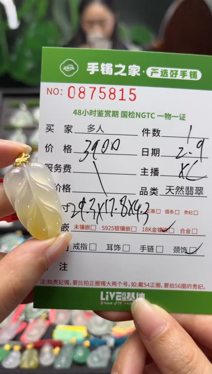 【闪购商品】翡翠颈饰18K金镶嵌多人
