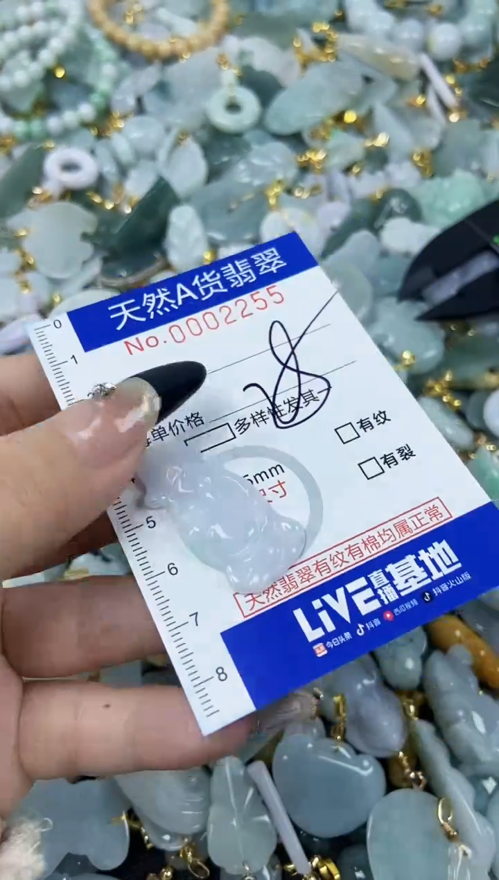【闪购商品】翡翠颈饰未镶嵌天然A货翡翠