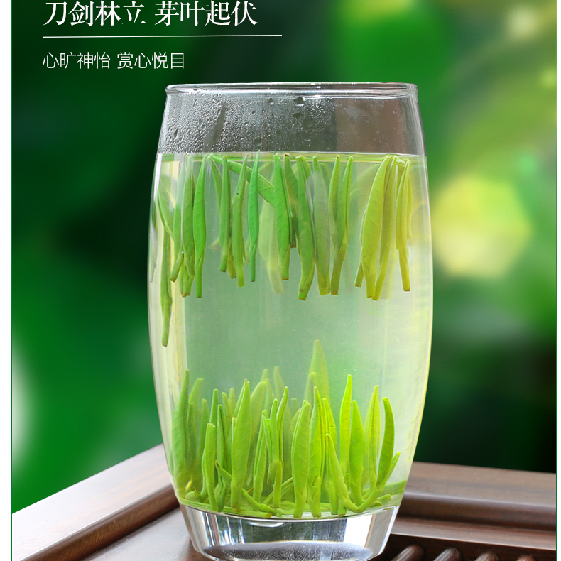 明前手工特级雀舌绿茶翠芽新茶口味浓重毛尖香芽茶厂直销