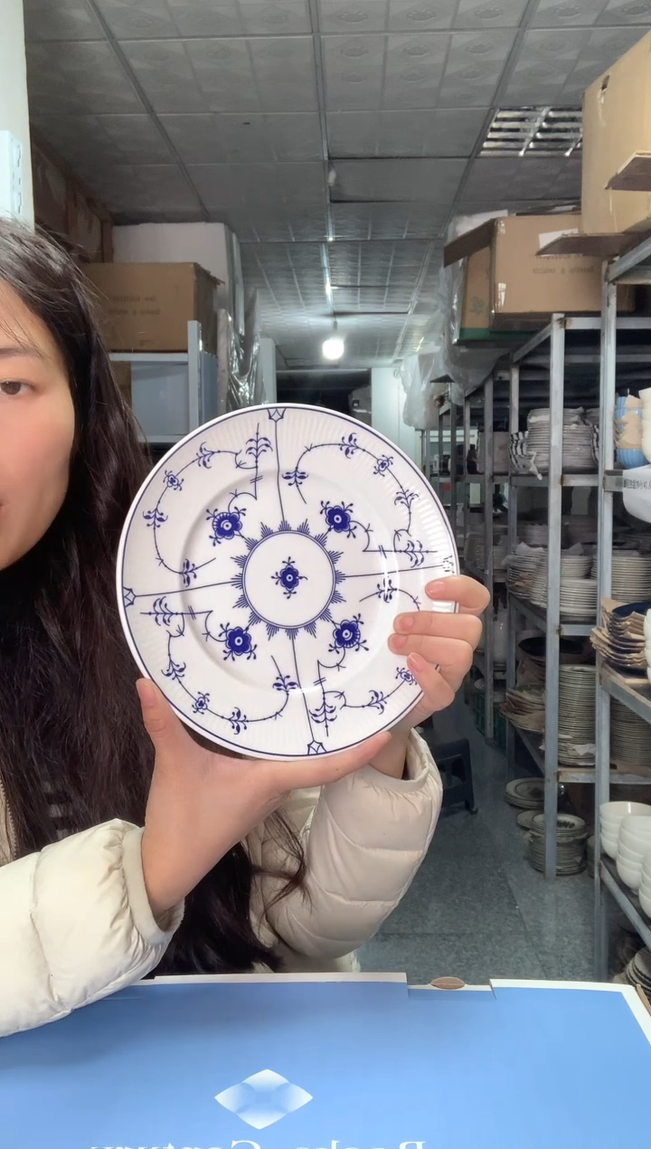 【闪购商品】瓷片陶瓷原单CC245餐具1个8寸