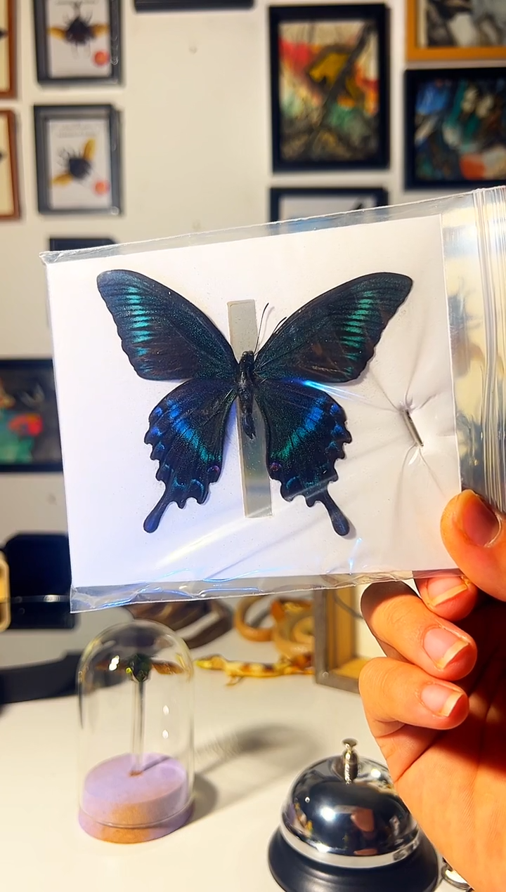 有机玻璃86494658949