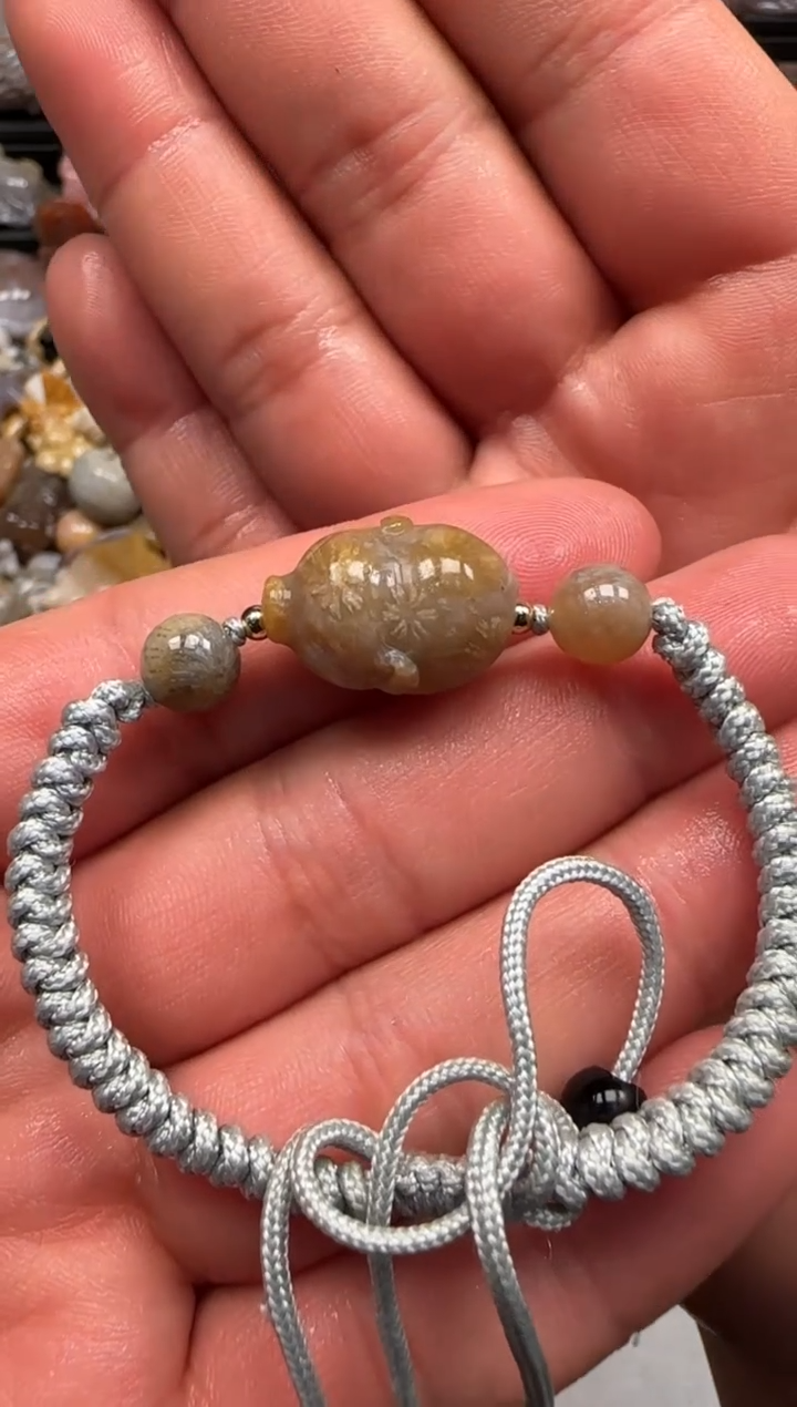 【闪购商品】硅化珊瑚（珊瑚玉）颈饰未镶嵌328