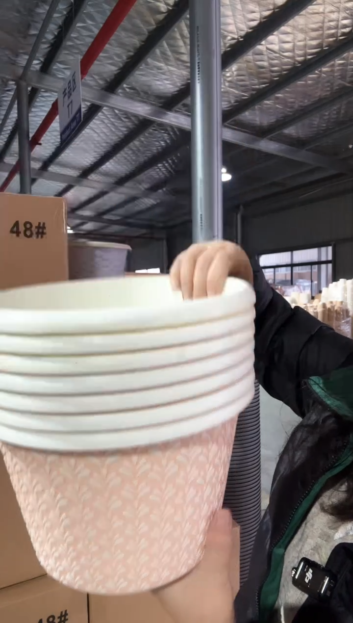 百花盆混色6只装