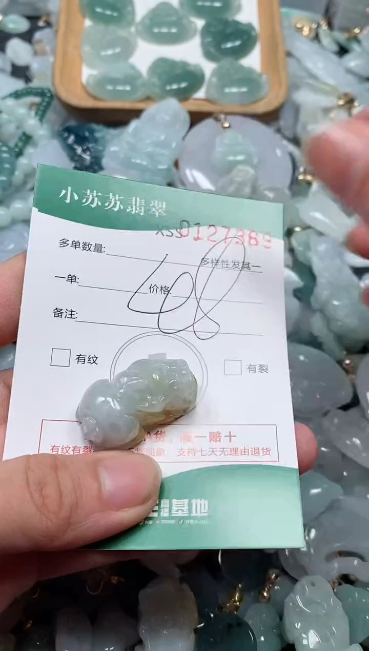 【闪购商品】翡翠颈饰未镶嵌闪购商品0127389