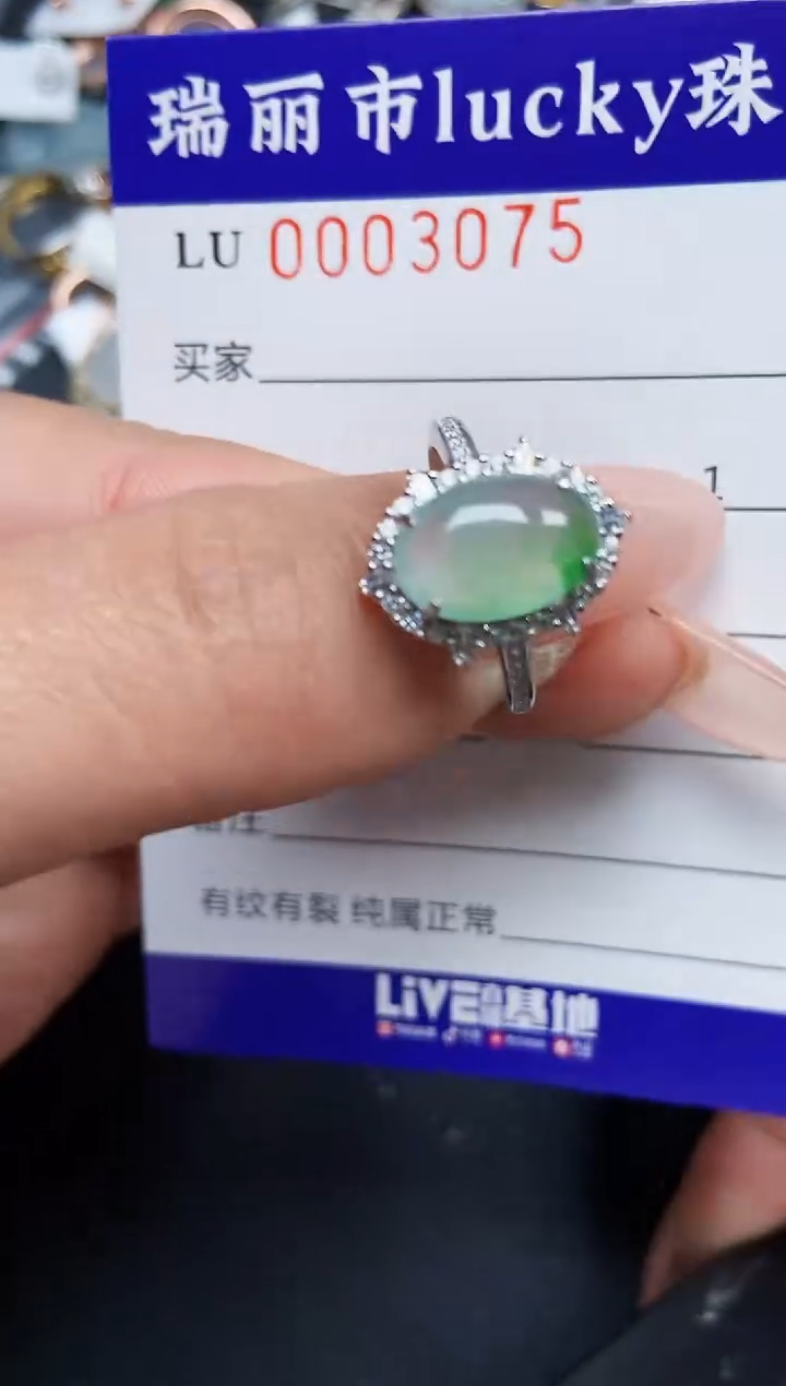 【闪购商品】翡翠颈饰银S925镶嵌3075