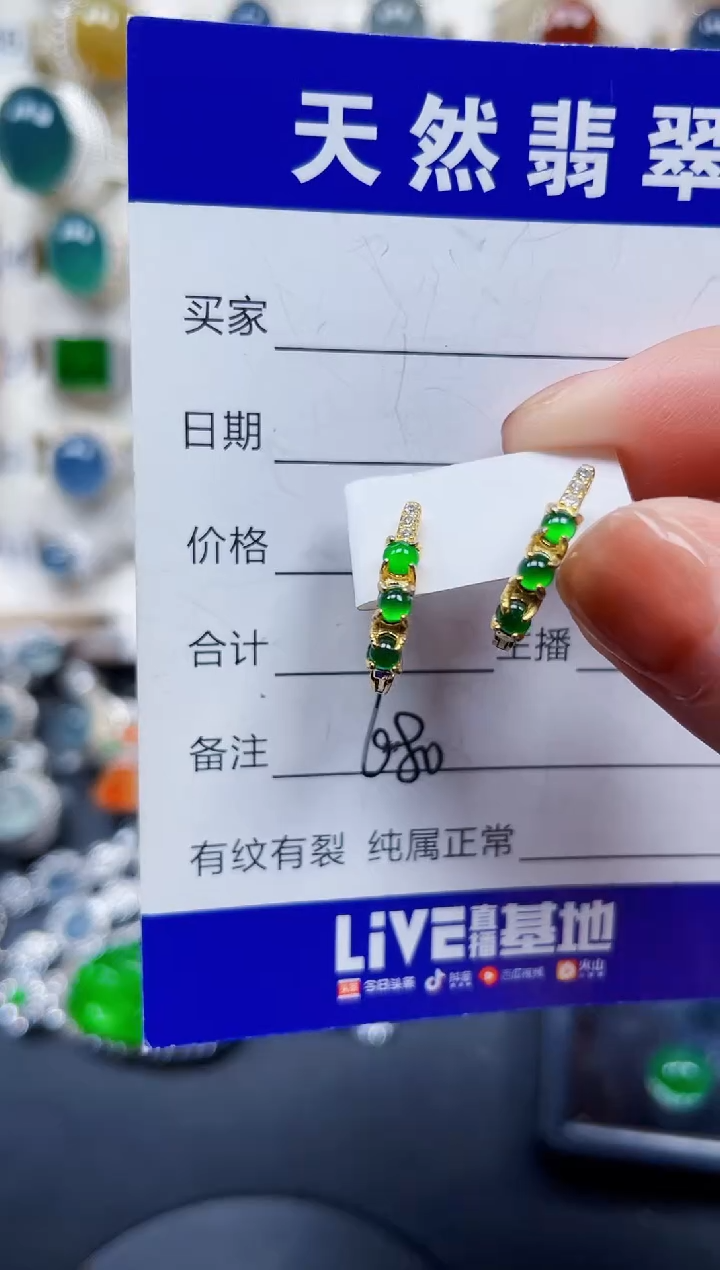 银S925镶嵌翡翠耳饰680