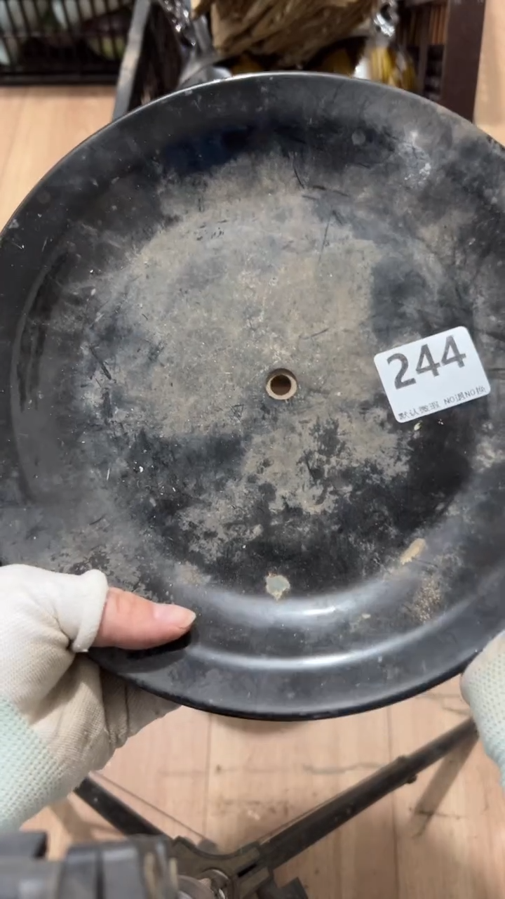 陶瓷一**获2025.12.06号244