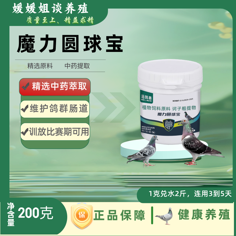赛鸽肠道修复肠道黏膜拉稀腹泻