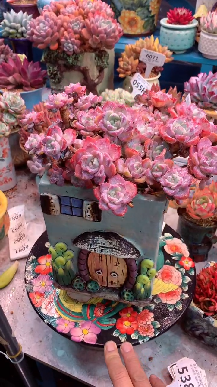 538H 模特区 千山雪 