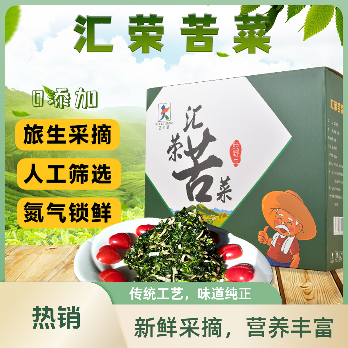 纯野生苦菜普礼盒无添加健康养生佳品