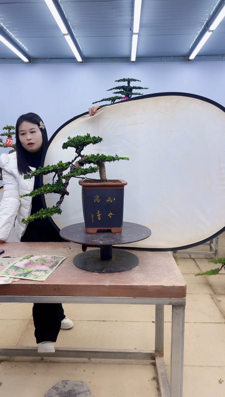 无花朵一物一拍，所见即所得