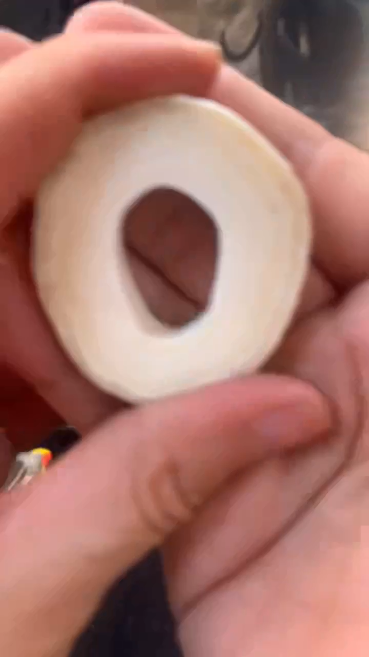 【闪购商品】橄榄核把件猛犸猛犸猛犸猛犸T61