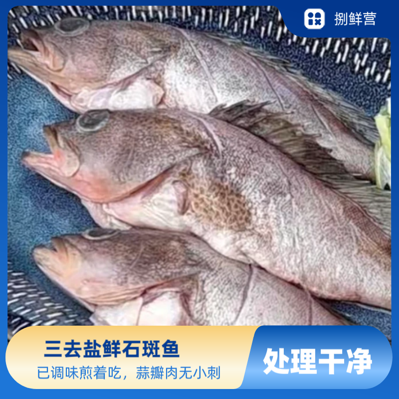 【12条】福建三去盐鲜石斑鱼约150g*12条，去鳞去鳃去内脏