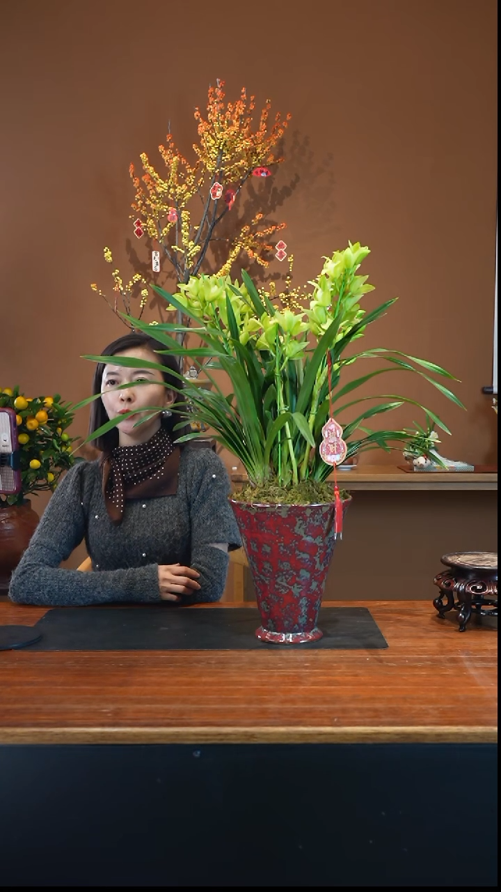 全部花朵绿精灵盆景盆景盆景