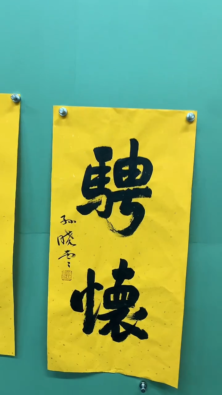 竖款精品书法，骋怀