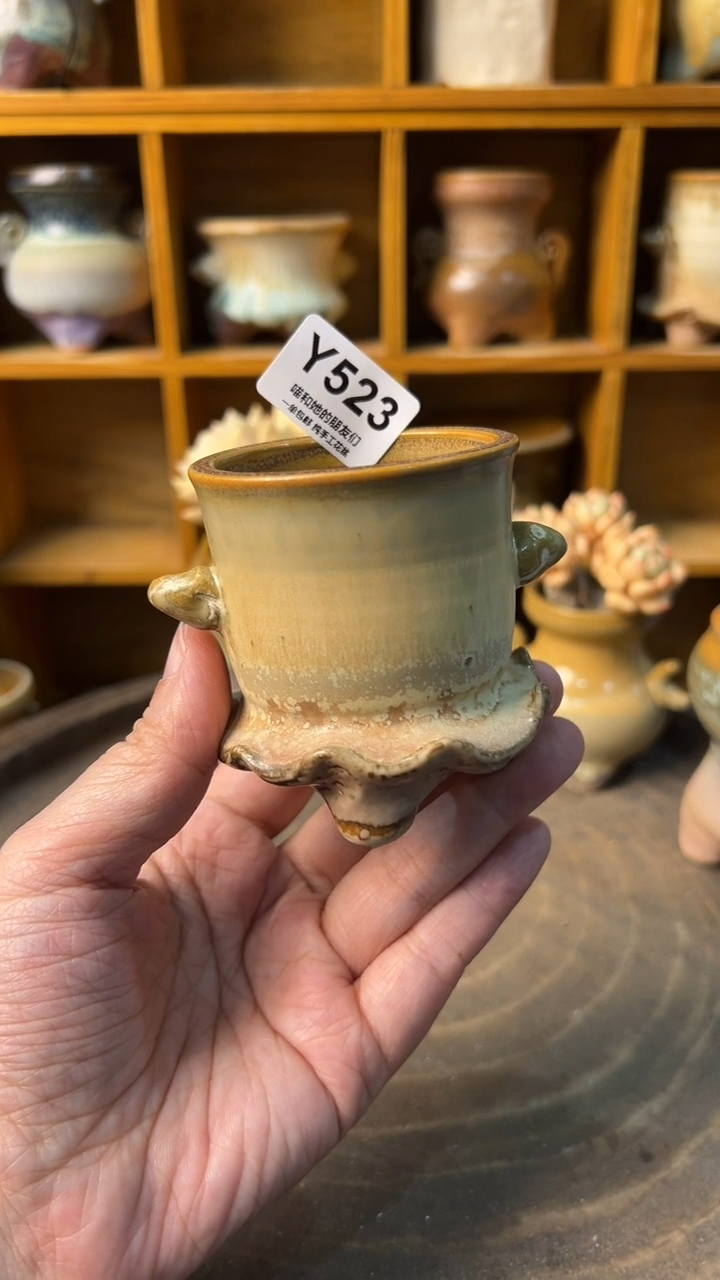 523 内口5【多肉花盆多肉盆】