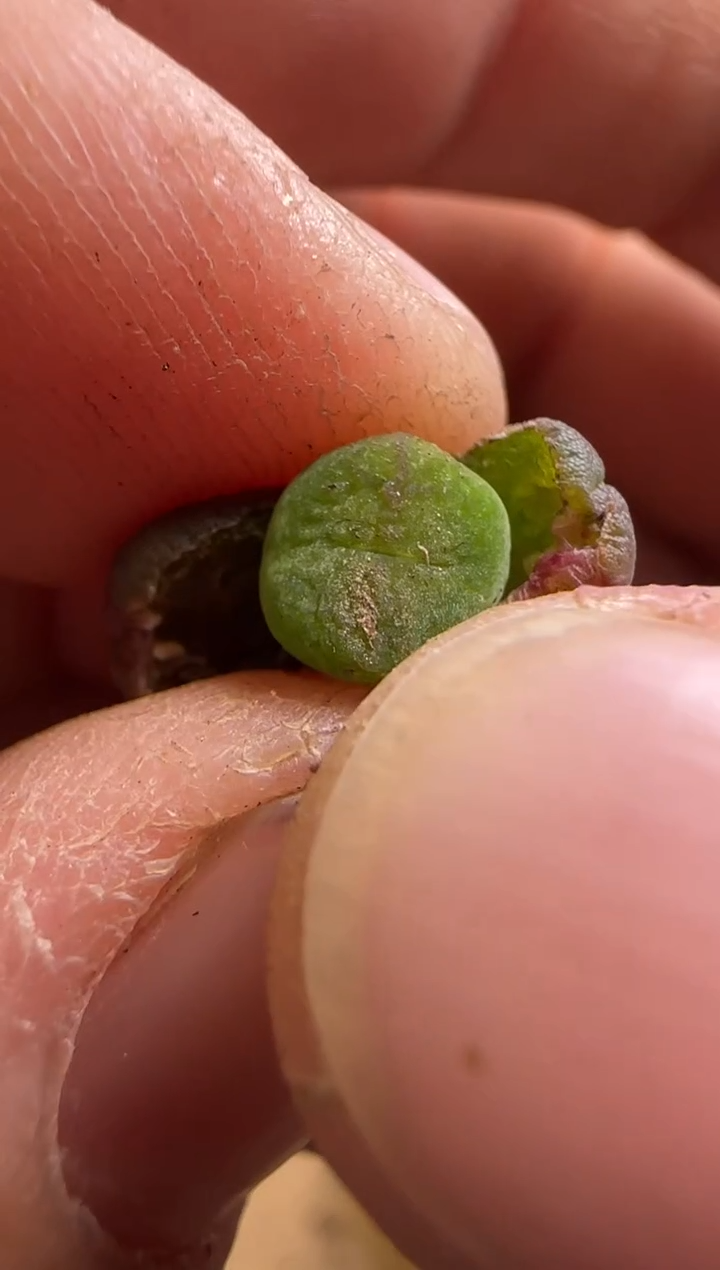 【闪购商品】14-119